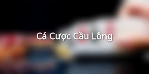 Cá Cược Cầu Lông