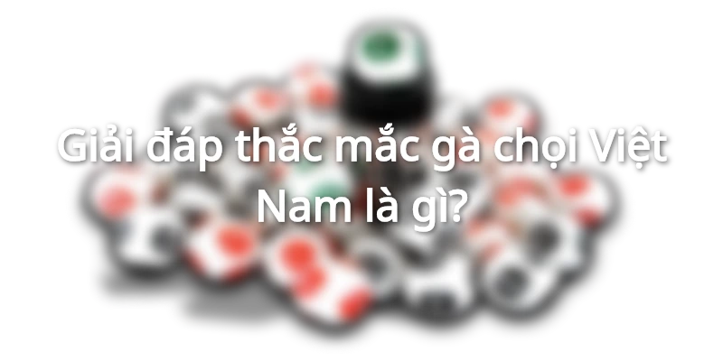 Thông tin sơ lược về các giống gà chọi Việt Nam