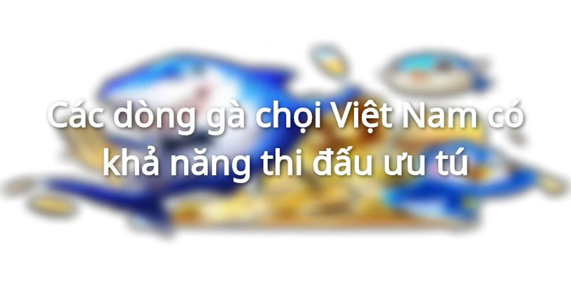 Tổng hợp một số dòng gà chọi Việt Nam ưu tú